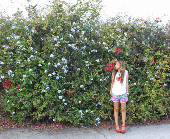 watermelon_green wall