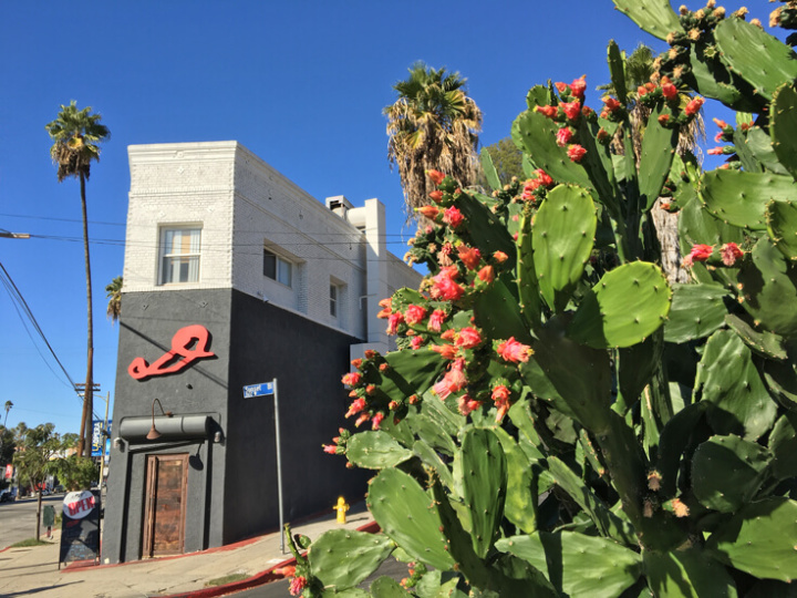 SeliNLily_restaurant_W